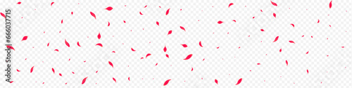 Pink Rose Vector Transparent Panoramic