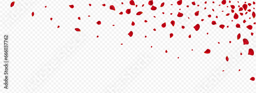 Red Flower Beauty Vector Panoramic Transparent