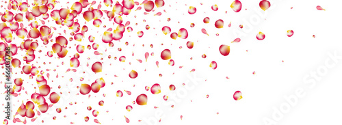 Pink Peach Spring Vector Panoramic White