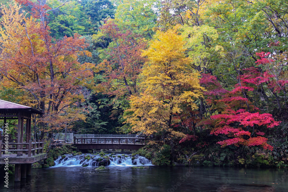 京極町ふきだし公園の紅葉 京極町ふきだし公園の紅葉