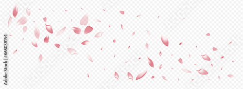 Pink Lotus Vector Panoramic Transparent