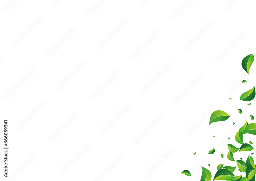 Forest Foliage Transparent Vector White Forest Foliage Transparent Vector White