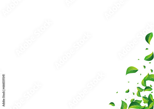 Forest Foliage Transparent Vector White