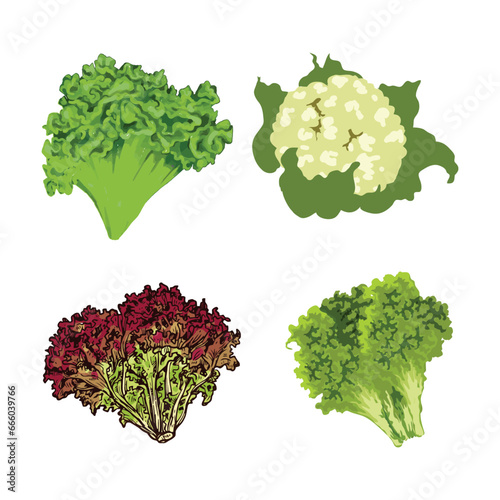 Set of pro-vector vegetables for a healthy life.
