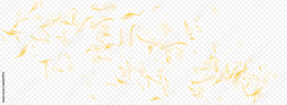 Light Petal Blur Vector Panoramic Transparent