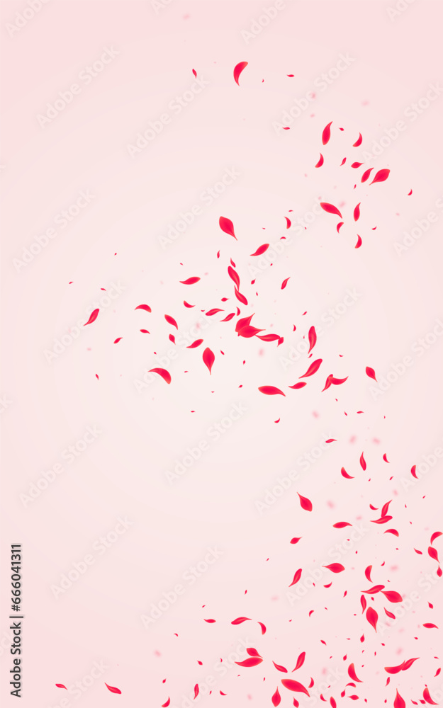 Carmine Petal Vector Pink Background. Summer Rose