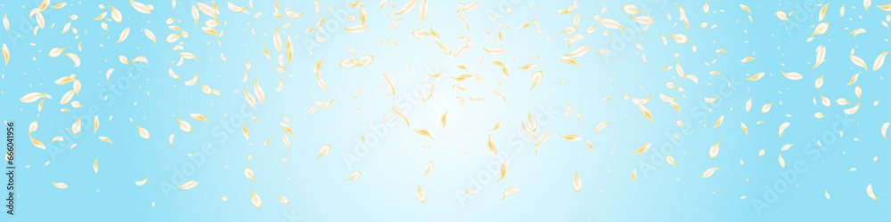 Yellow Blossom Beauty Vector Panoramic Blue