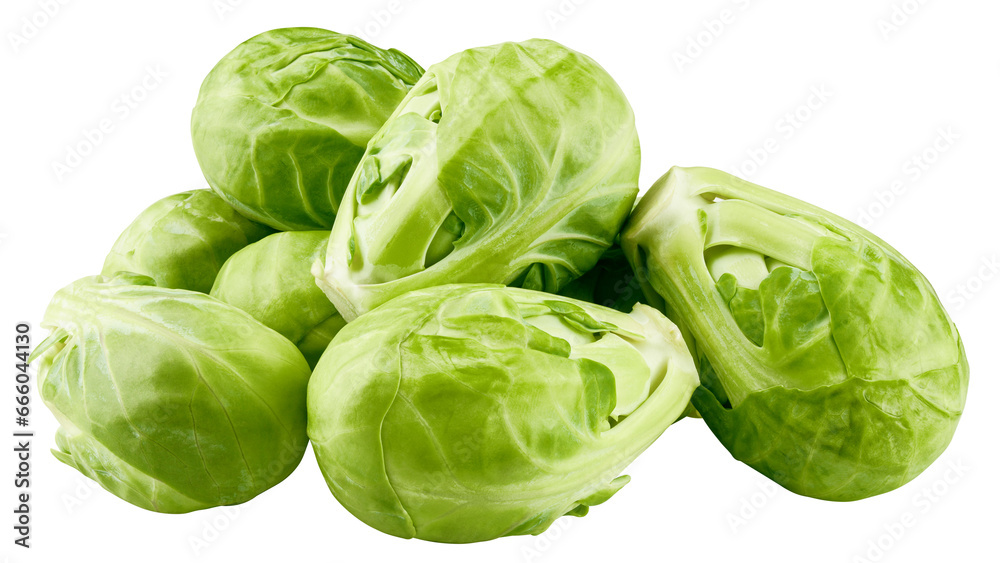 Brussel sprout isolated on white background, full depth of field Brussel sprout isolated on white background, full depth of field