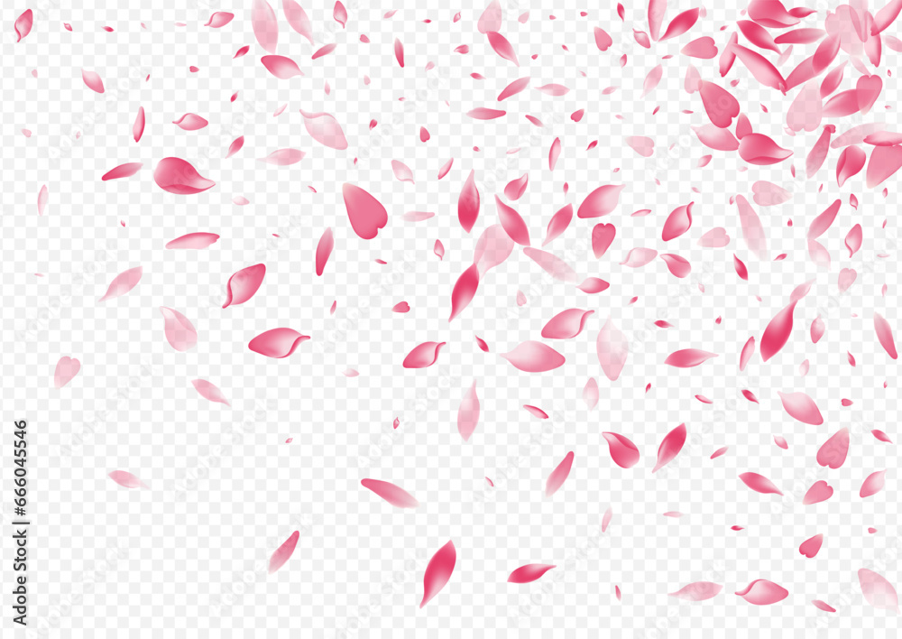 White Blooming Vector Transparent Background. White Blooming Vector Transparent Background.