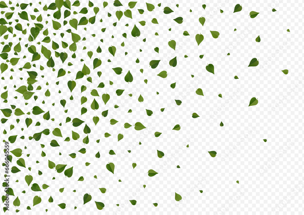 Lime Leaves Wind Vector Transparent Background Lime Leaves Wind Vector Transparent Background