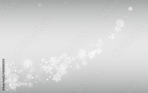 Winter Snowflake Vector Silver Background. New