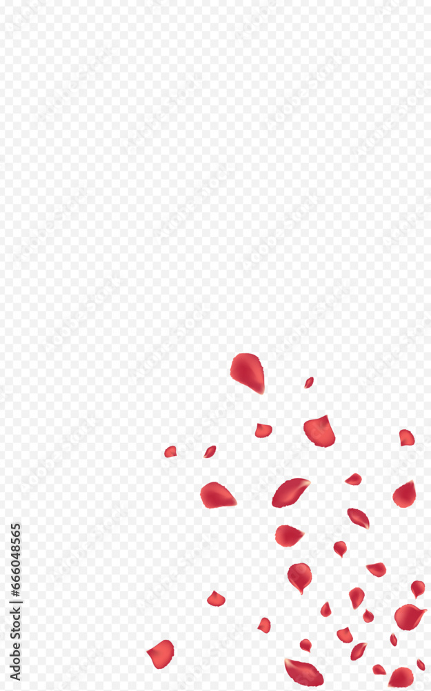 Beautiful Lotus Fly Vector Transparent