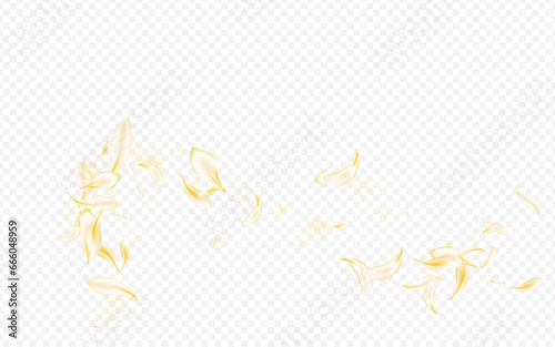 White Sakura Blur Vector Transparent Background.