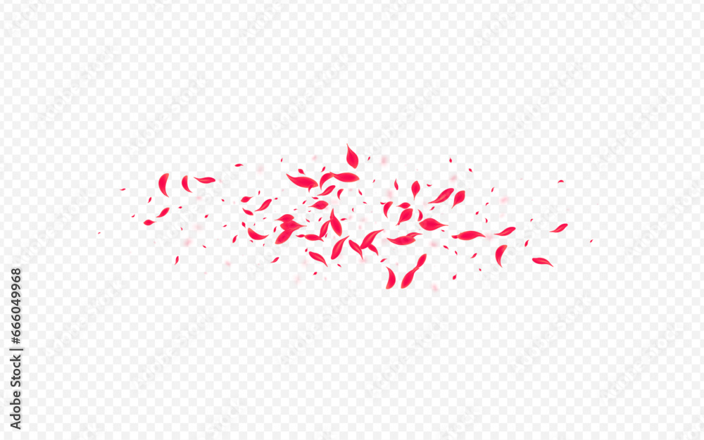 Beautiful Flower Vector Transparent Background.