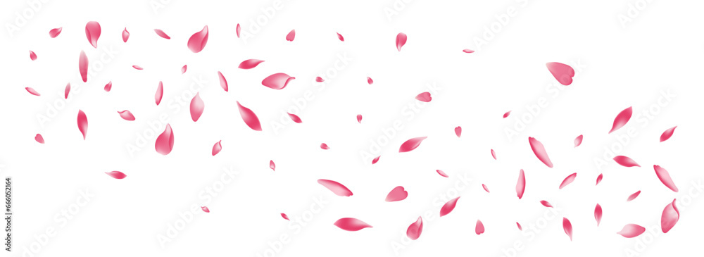 Pastel Cherry Petal Vector White Background.