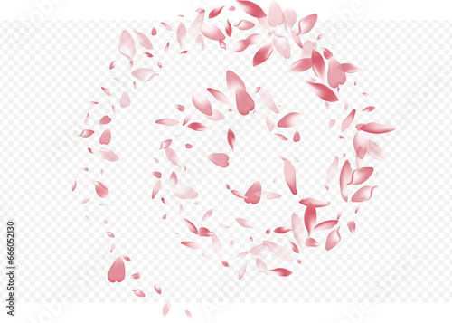Color Floral Vector Transparent Background.