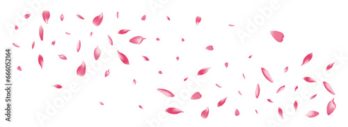 Pastel Cherry Petal Vector White Background.