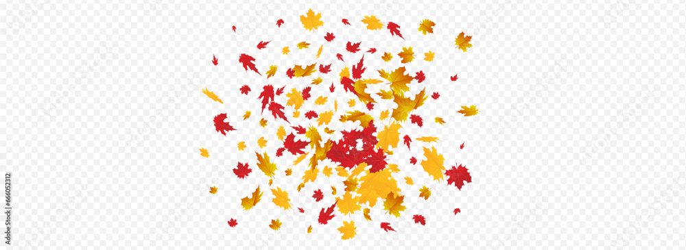 Brown Leaf Vector Panoramic Transparent Brown Leaf Vector Panoramic Transparent