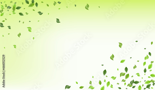 Mint Foliage Forest Vector Green Background