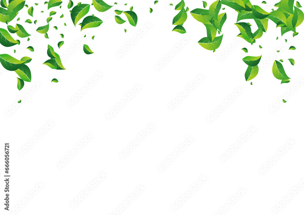 Grassy Greens Wind Vector White Background. Grassy Greens Wind Vector White Background.