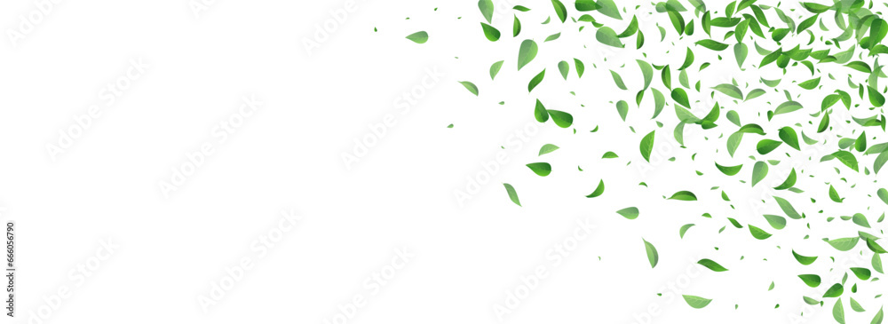 Green Leaves Abstract Vector Panoramic White Green Leaves Abstract Vector Panoramic White