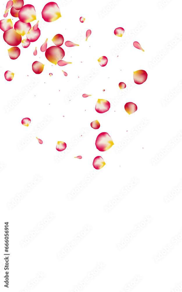 Pink Flower Fall Vector White Background. Fly