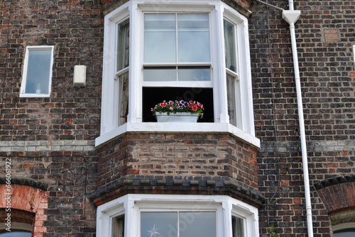 Planter with Colourful Flowers on Sill of Open Window in Old Brick House 24084-2736-053