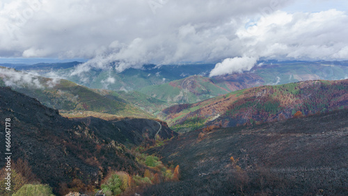 Black ground of a burned forest at hills of galician landscape near Ourense Spain