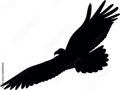 eagle in hand