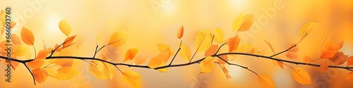 Autumn Tree Branches On A Defocused Orange Background Art. Panoramic Banner