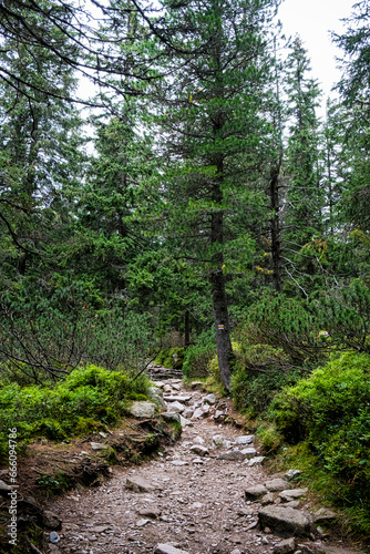 Mlynicka valley  High Tatras mountain  Slovakia