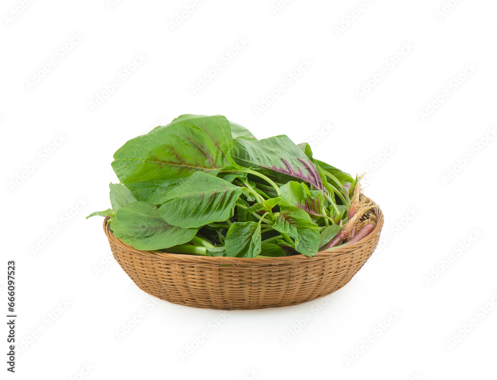 Fresh spinach on white background Fresh spinach on white background
