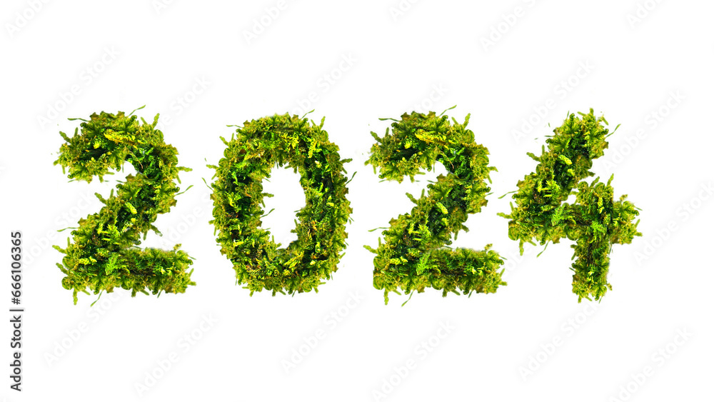 grüne 2024 aus frischen Moos - obrazy, fototapety, plakaty 
