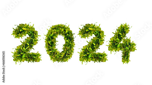 grüne 2024 aus frischen Moos