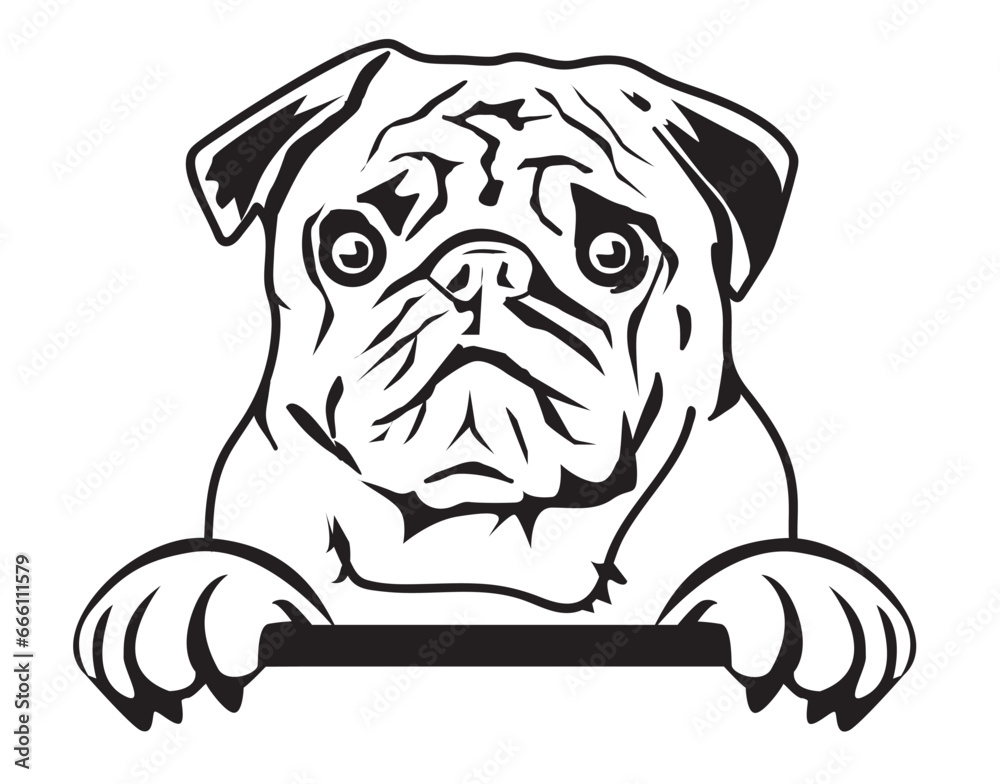 Fototapeta premium Black and white hand drawn face of pug. Pug dog jpeg, pug dog eps. Cut file cricut, silhouette. Vector illustration tattoo art
