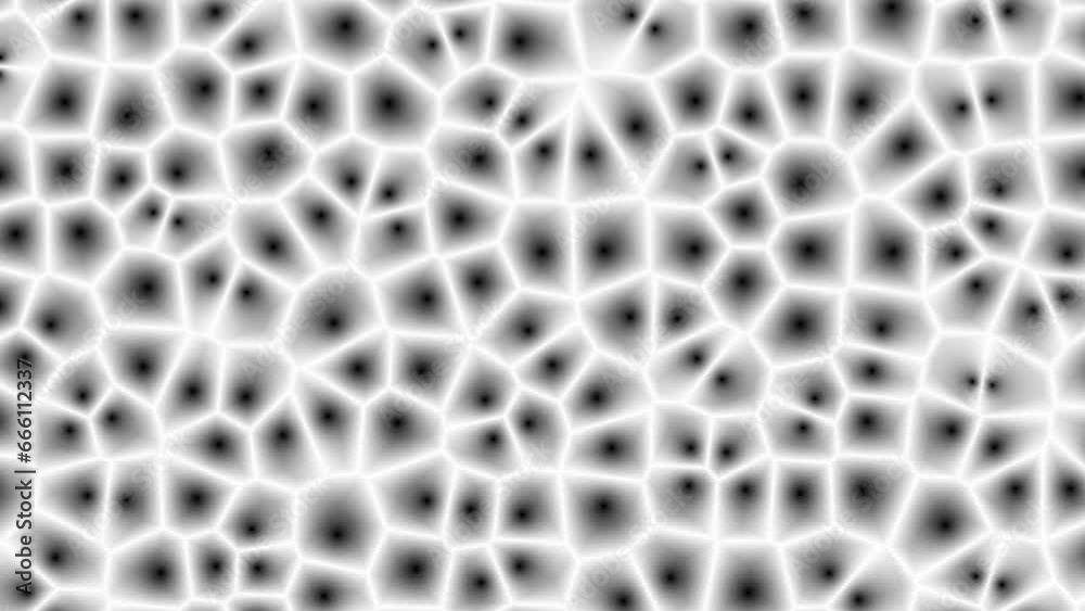 abstract black and white cells background abstract black and white cells background