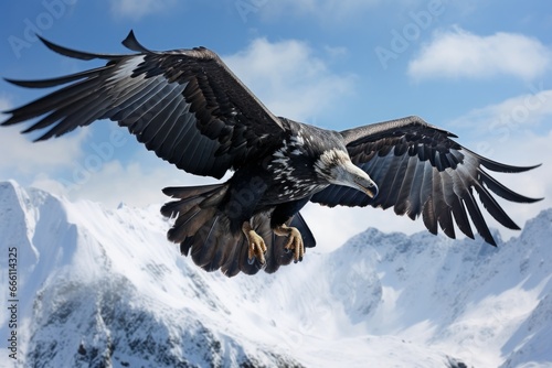 Powerful Condor flying mountains. America wild. Generate Ai © juliars