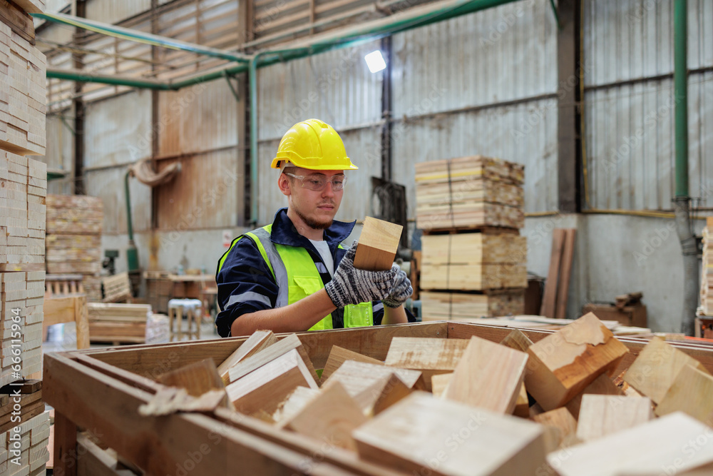 Lumber Expert, Inspecting Quality in the Heart of the Workshop Lumber Expert, Inspecting Quality in the Heart of the Workshop