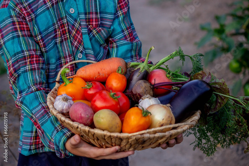 A child holds a harvest of vegetables in his hands. Selective focus