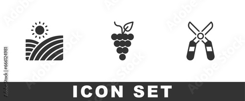 Set Vineyard wine grapes, Bunch of and Gardening scissors icon. Vector