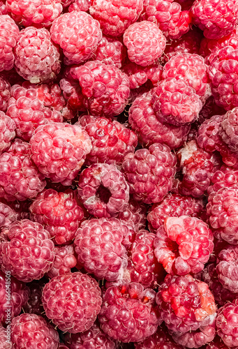 Fresh and sweet raspberries background. Fresh organic ripe raspberry. Bunch of red pink raspberries. Top view