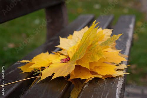 Bouquet of autumn leaves on a bench. Autumn leaves. Close-up. Bouquet of leaves. Yellow. Autumn.
