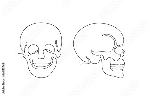  Human skull. One line