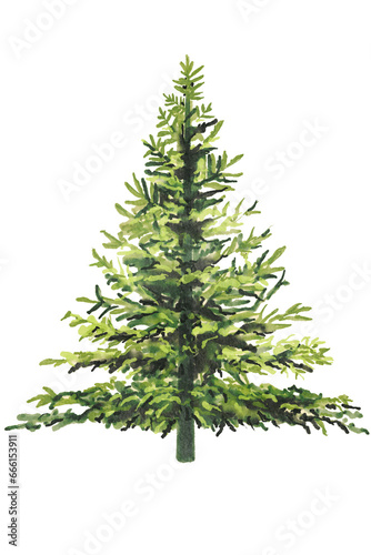 christmas tree isolated on white background