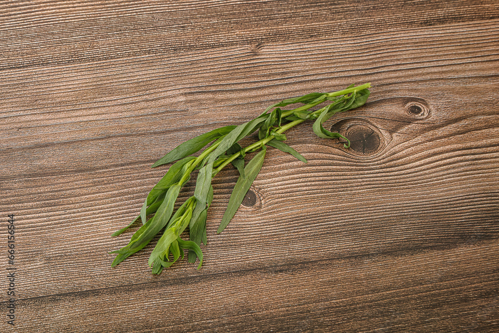 Green tarragon herb spice for cooking Green tarragon herb spice for cooking