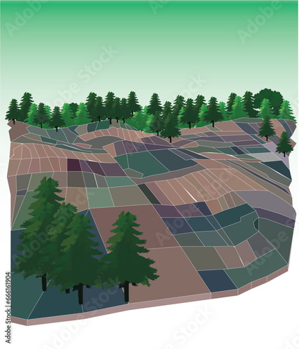 landscape of plantation land in high altitude areas surrounded by pine forests in vector with a green background