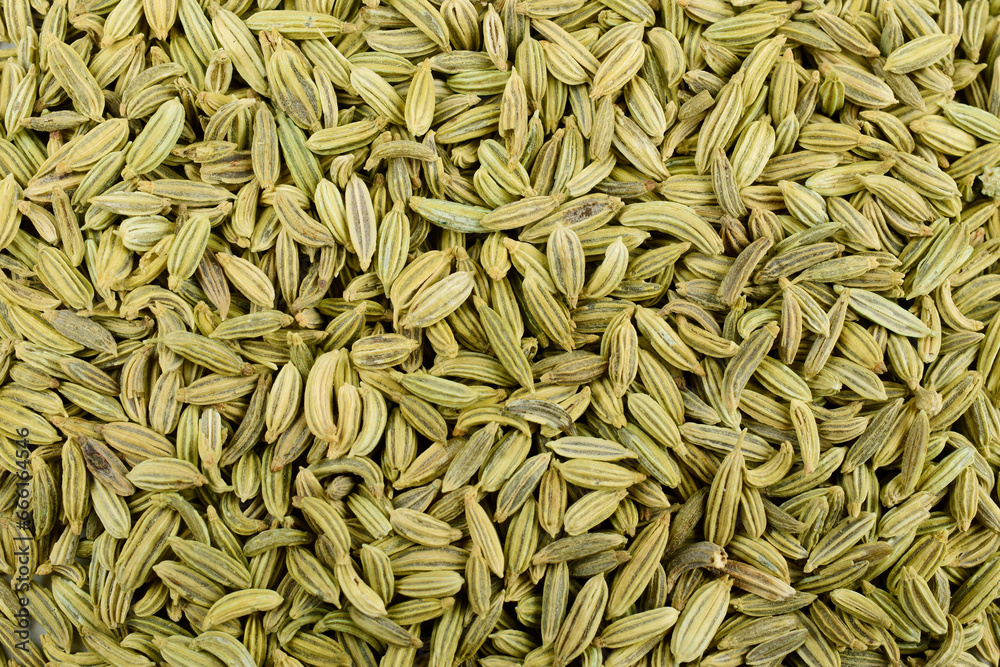Fennel seeds texture background, saunf Fennel seeds texture background, saunf