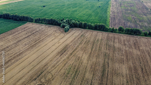 Agricultural fields, top view. Farmed fields, bird's-eye view of the landscape.