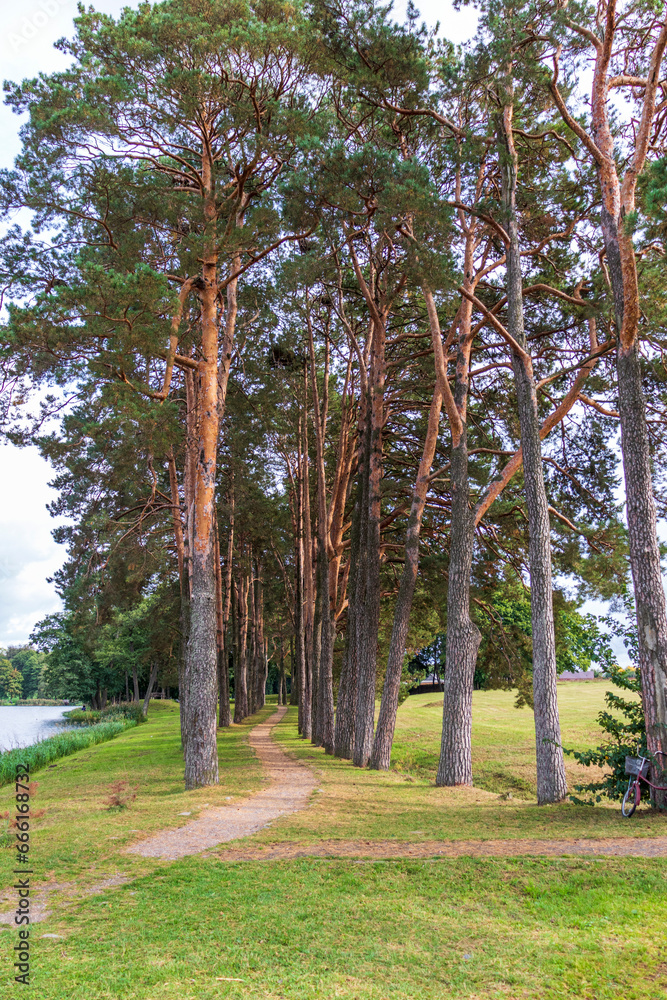 Obraz premium Landscape shot of the lake. Outdoor