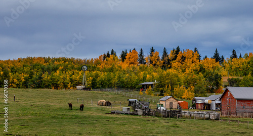 A drive through Foothills County Alberta Canada